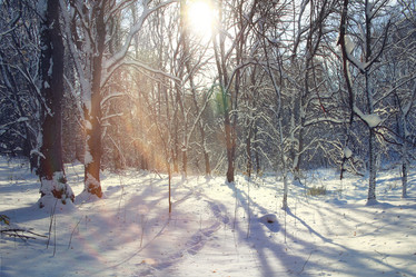 Similar image 10502829