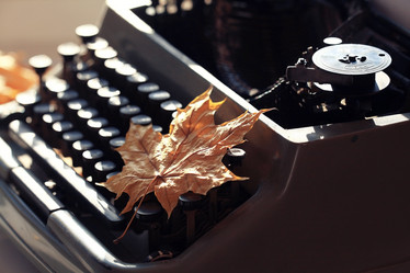 Similar image 10502830