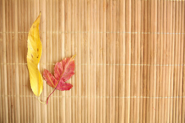 Similar image 10502831