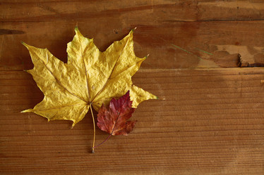 Similar image 10502833