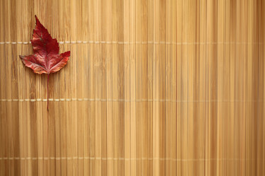 Similar image 10502836