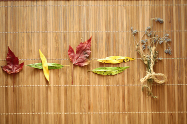 Similar image 10502837