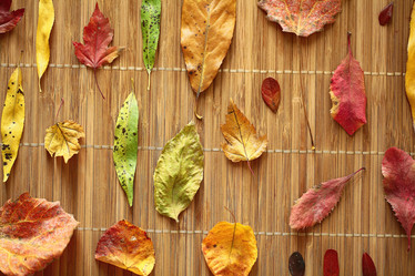 Similar image 10502838