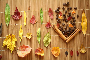 Similar image 10502839