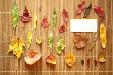 Similar image 10502840