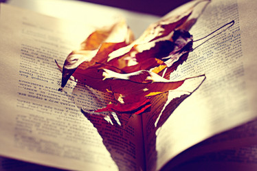 Similar image 10502841