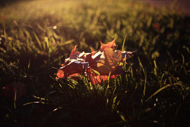 Similar image 10502846