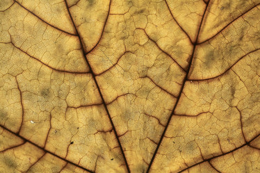 Similar image 10502848