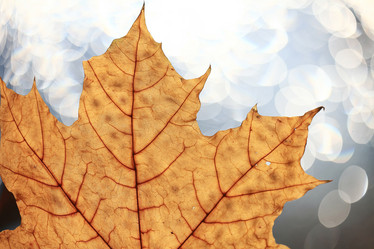 Similar image 10502850