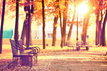 Similar image 10502858