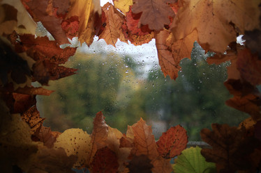 Similar image 10502862