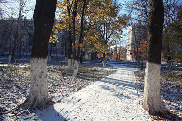 Similar image 10502867