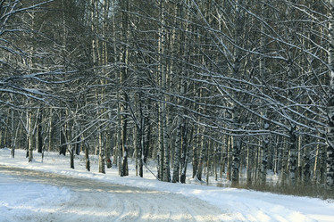 Similar image 10502873