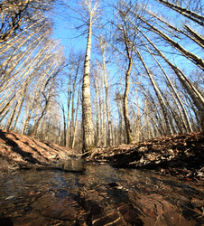 Similar image 10502885