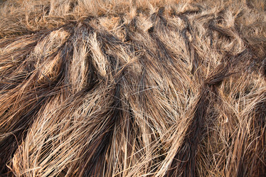 Similar image 10502889