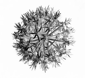 Similar image 10502890