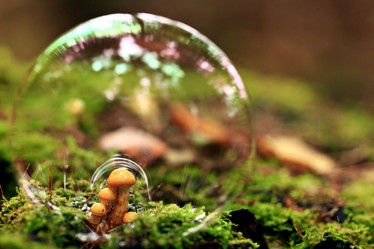 Similar image 10502892