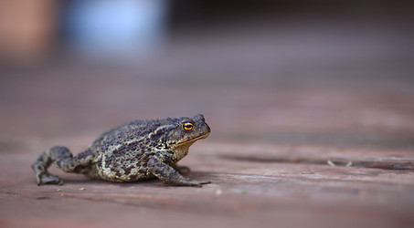 Similar image 10502897