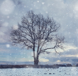 Similar image 10502900