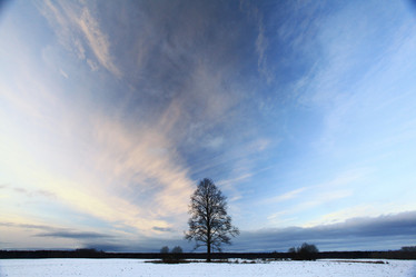 Similar image 10502901