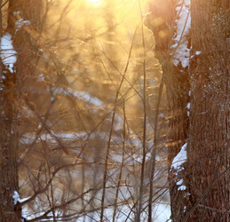 Similar image 10502905