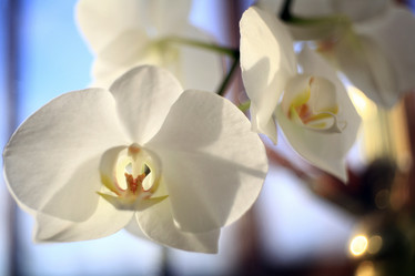 Similar image 10502911