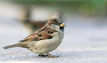 Similar image 10502934