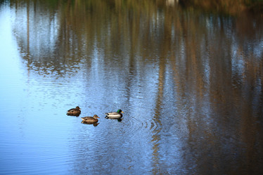 Similar image 10502936