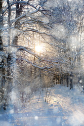 Similar image 10502940