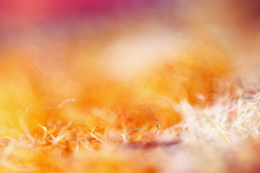 Similar image 10502948