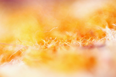 Similar image 10502950