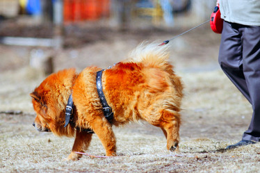 Similar image 10502967