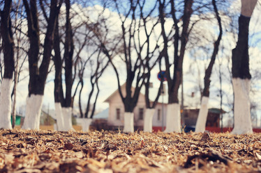 Similar image 10502969