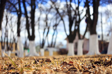 Similar image 10502970