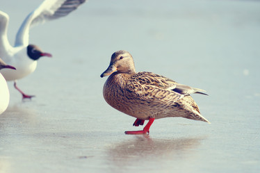 Similar image 10502977