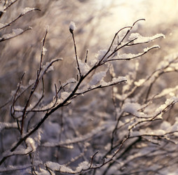 Similar image 10502989