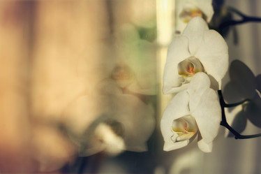 Similar image 10502992