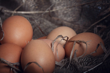 Similar image 10502997