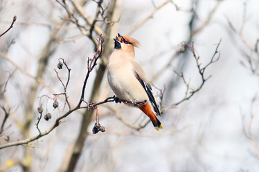 Similar image 10502998