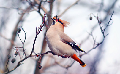 Similar image 10503000