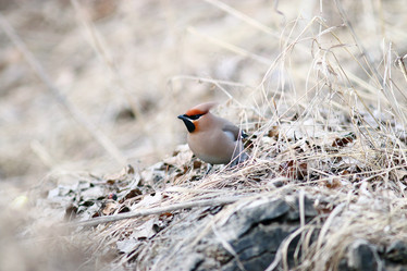 Similar image 10503003