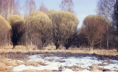 Similar image 10503008