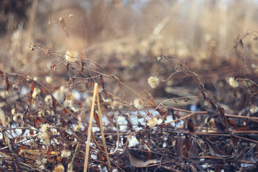 Similar image 10503010