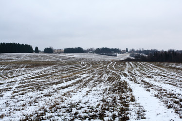 Similar image 10503018