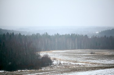 Similar image 10503019