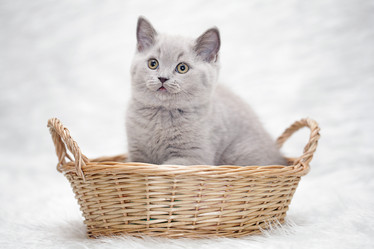 Similar image 10503020