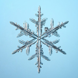 Similar image 10503024