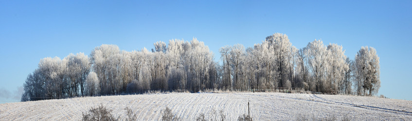 Similar image 10503025