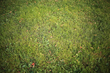 Similar image 10503030