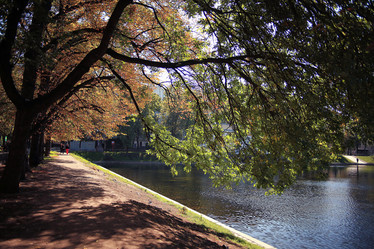 Similar image 10503031